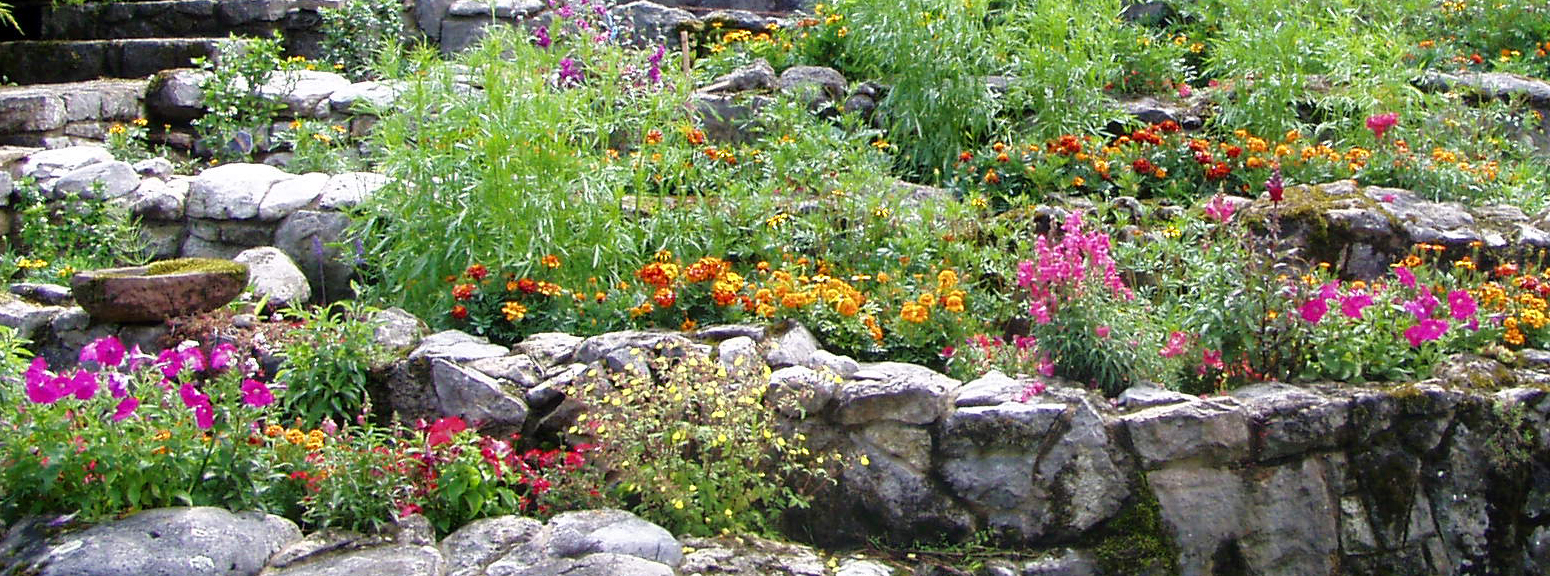 tendencias jardineria primavera verano 2025